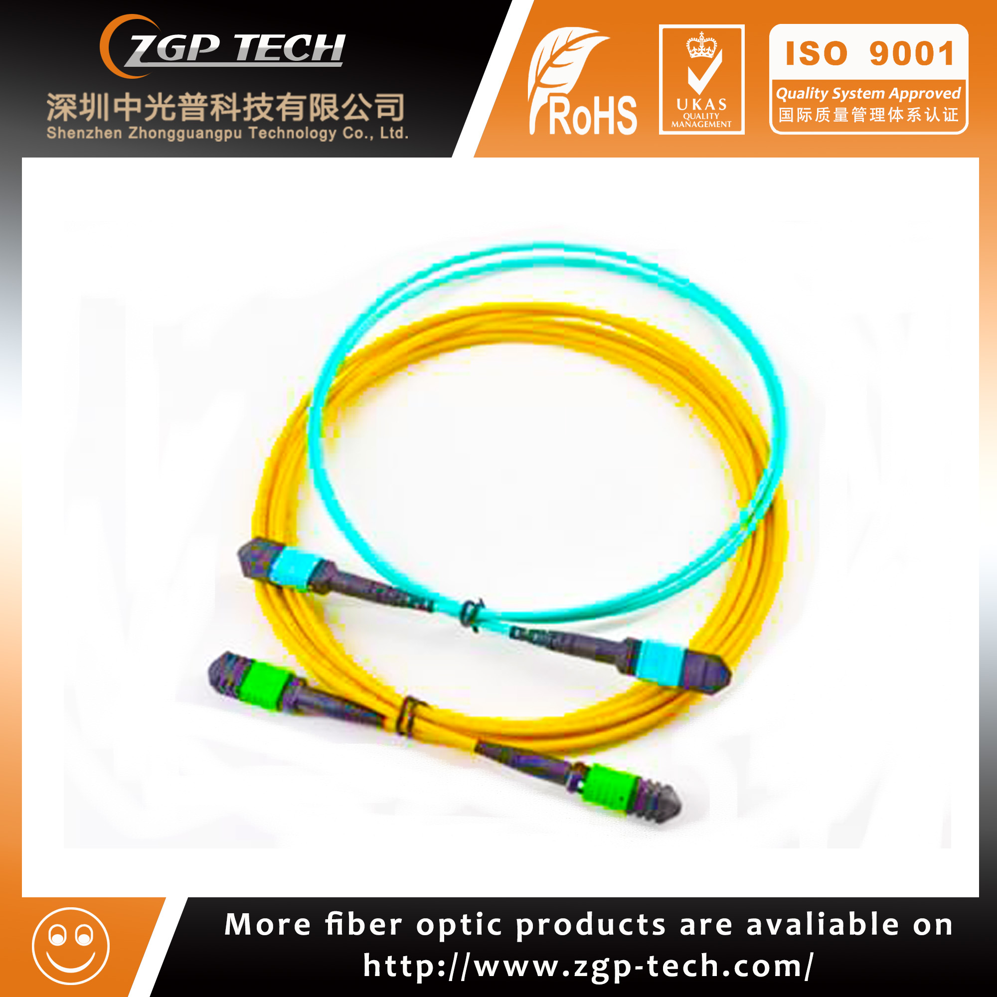 MTP/MPO patch cord 24-48 Fiber OM3 OM4 